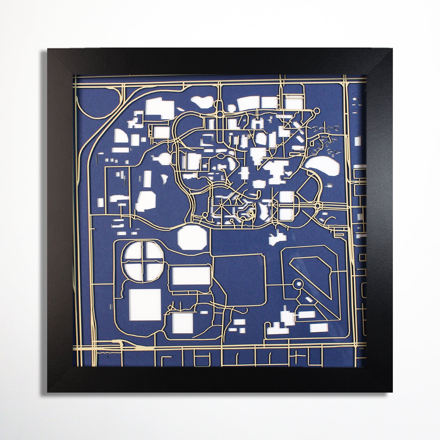 Florida International University Laser Cut Map - CarbonLight