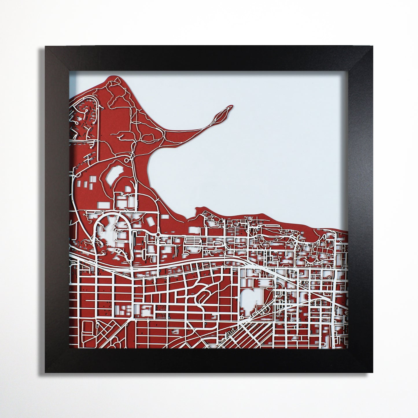 University of Wisconsin Madison Laser Cut Map - CarbonLight