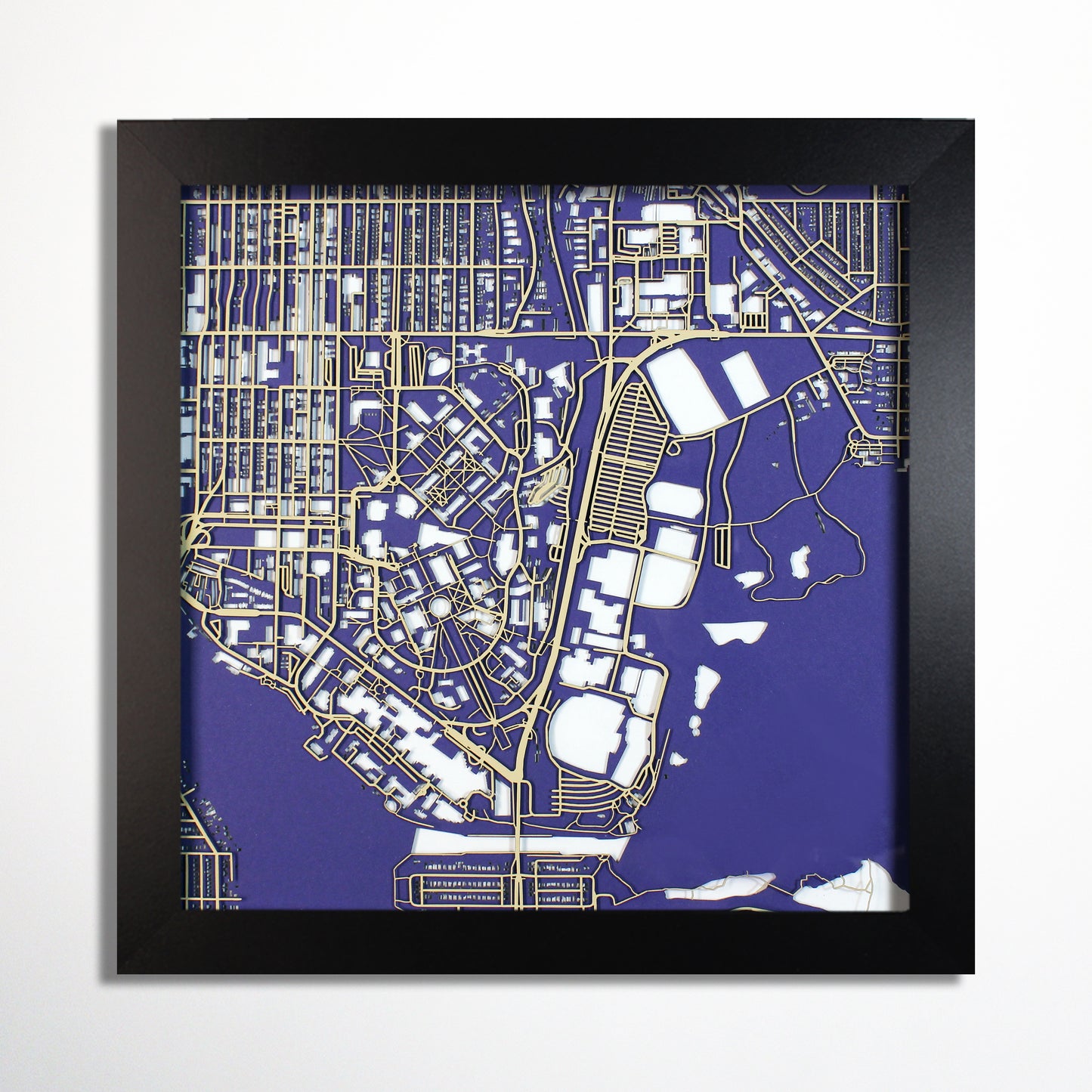 University of Washington Laser Cut Map - CarbonLight