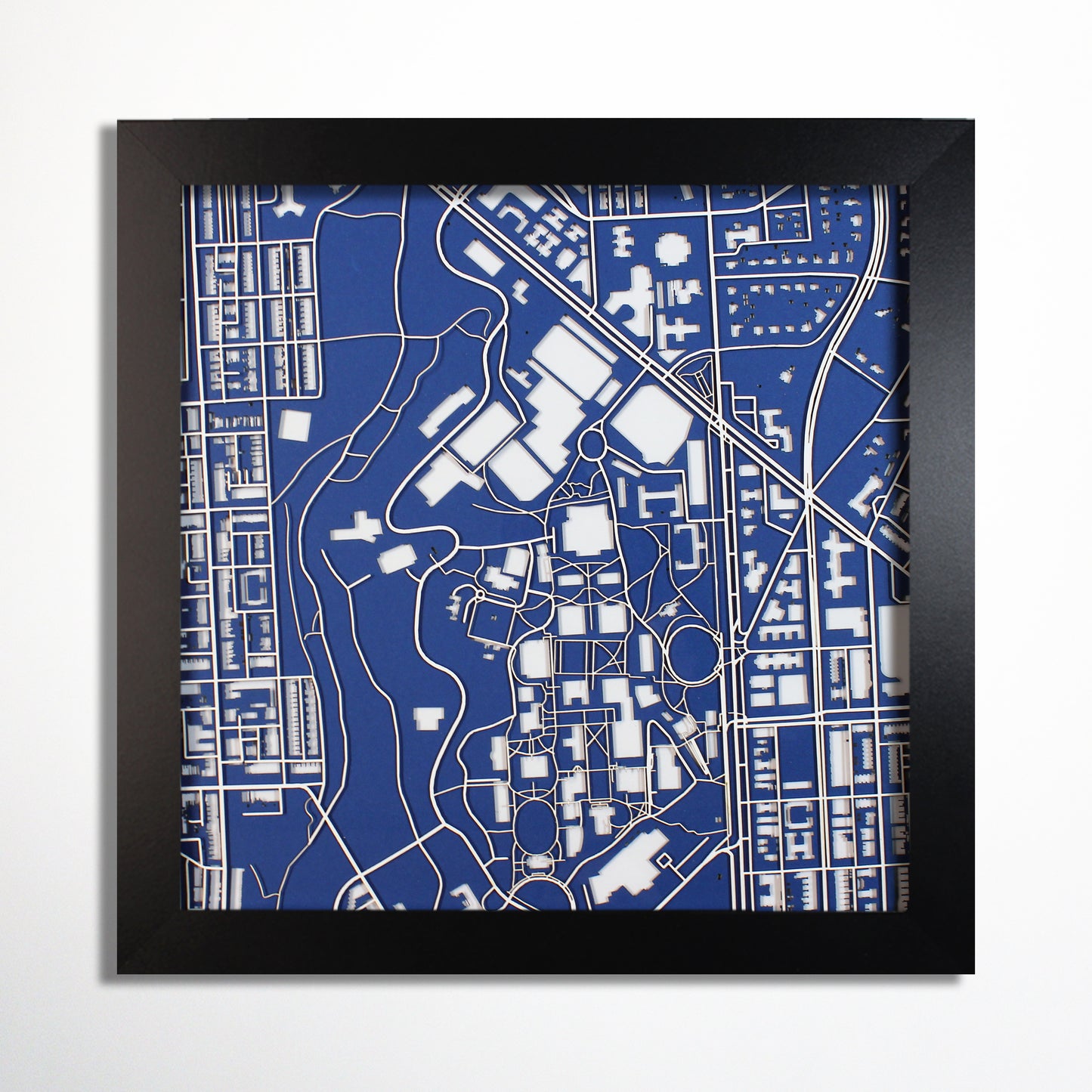 Johns Hopkins University Laser Cut Map - CarbonLight