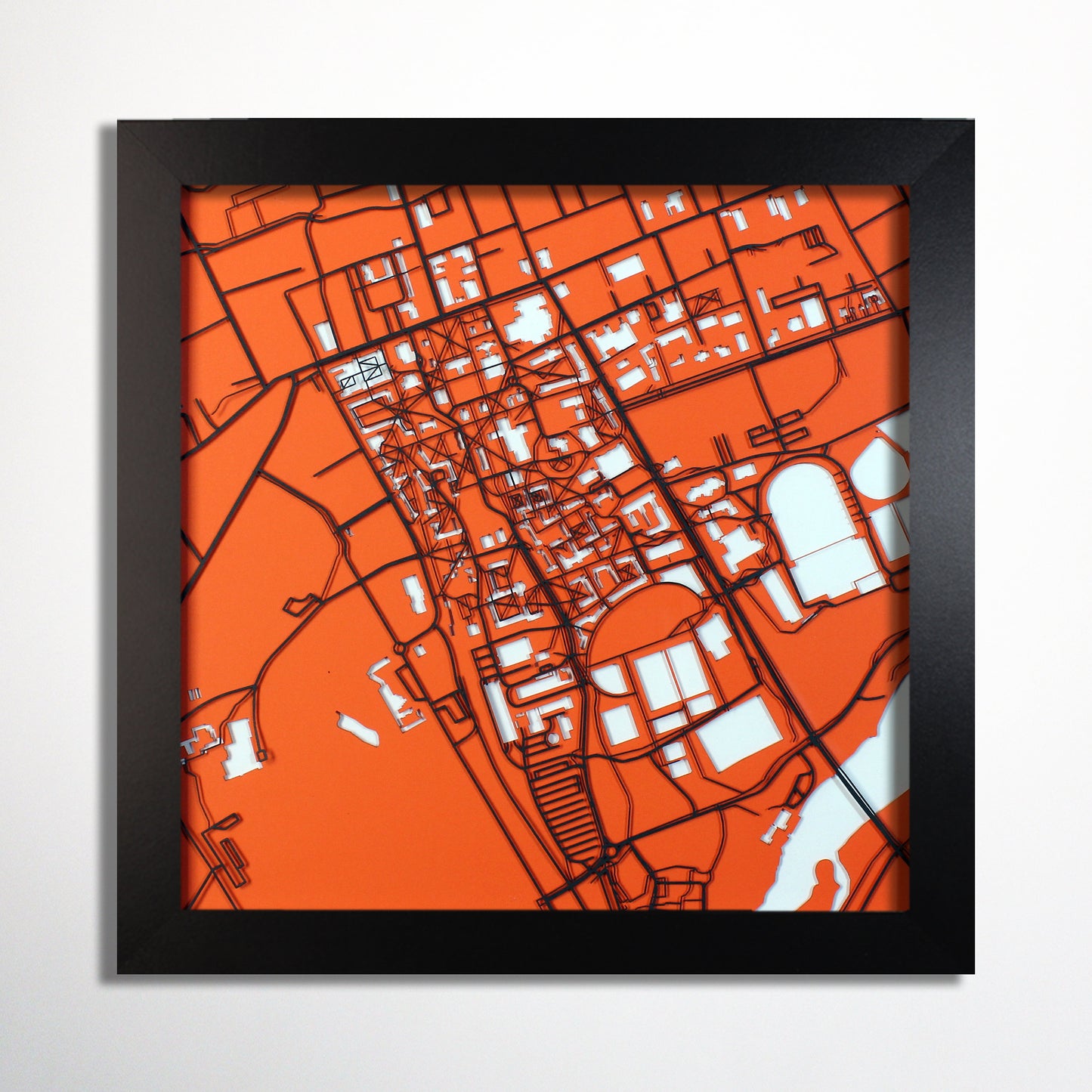 Personalized University Map - CarbonLight
