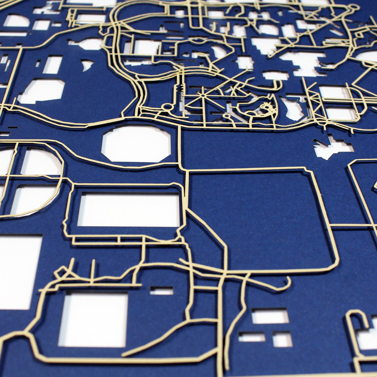 Florida International University Laser Cut Map - CarbonLight