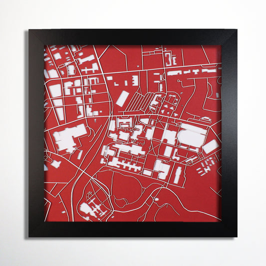 Carnegie Mellon University Laser Cut Map - CarbonLight