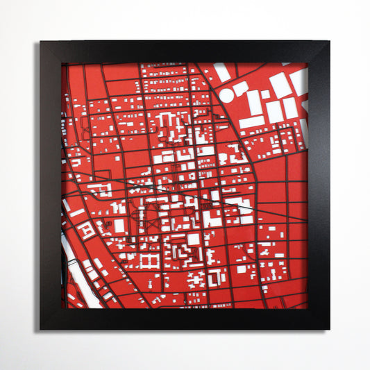 Brown University Laser Cut Map - CarbonLight