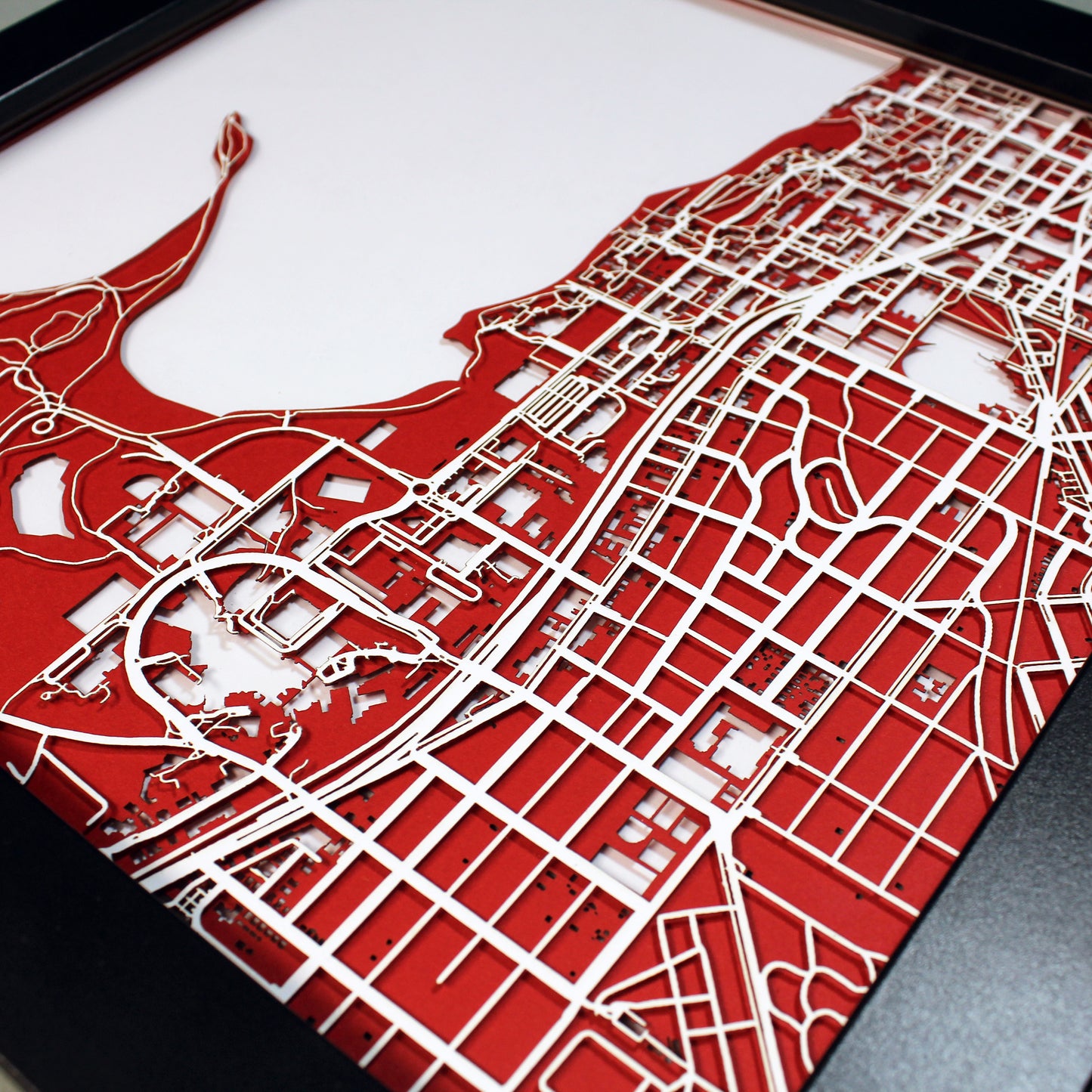 University of Wisconsin Madison Laser Cut Map - CarbonLight