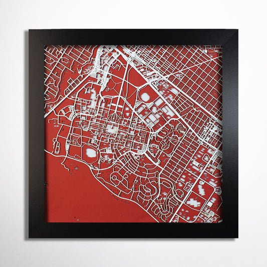 Stanford University Laser Cut Map - CarbonLight