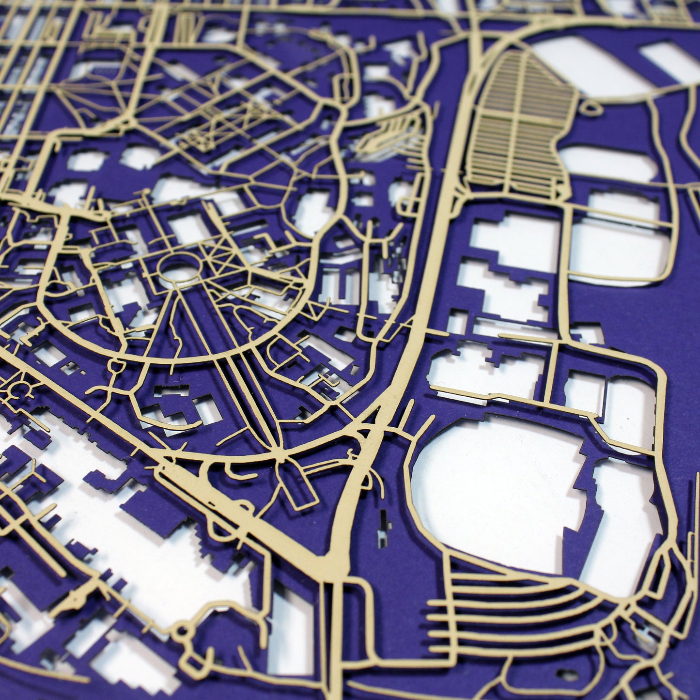 University of Washington Laser Cut Map - CarbonLight