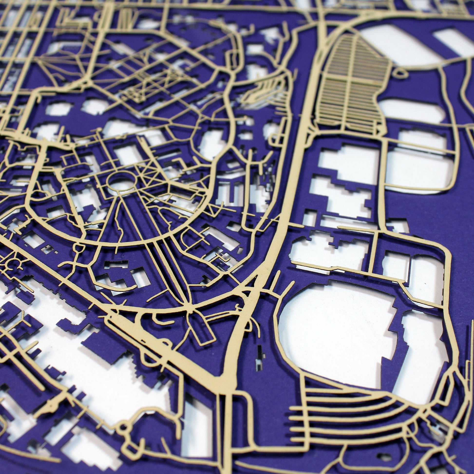 University of Washington Laser Cut Map - CarbonLight