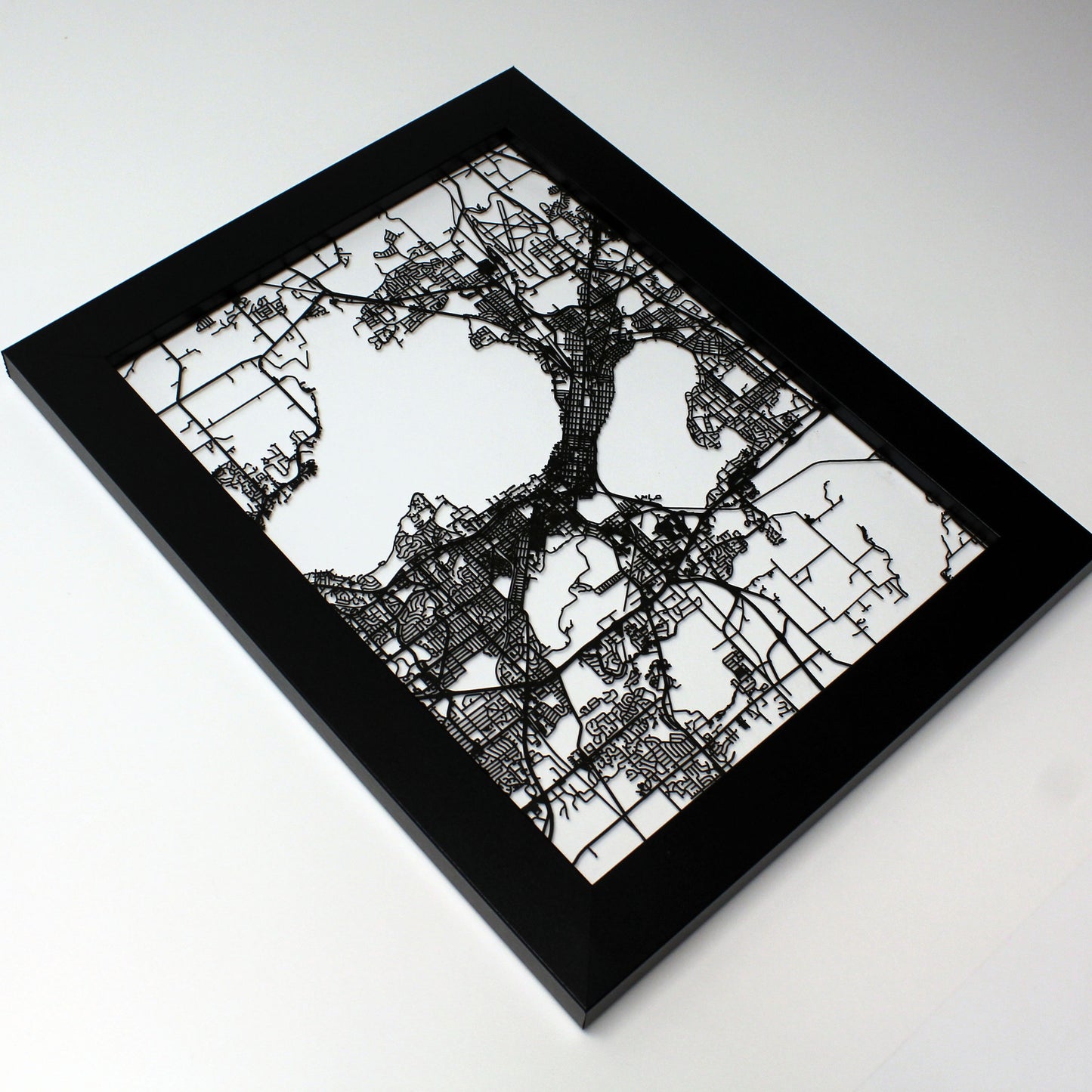 Madison WI laser cut wall map - CarbonLight