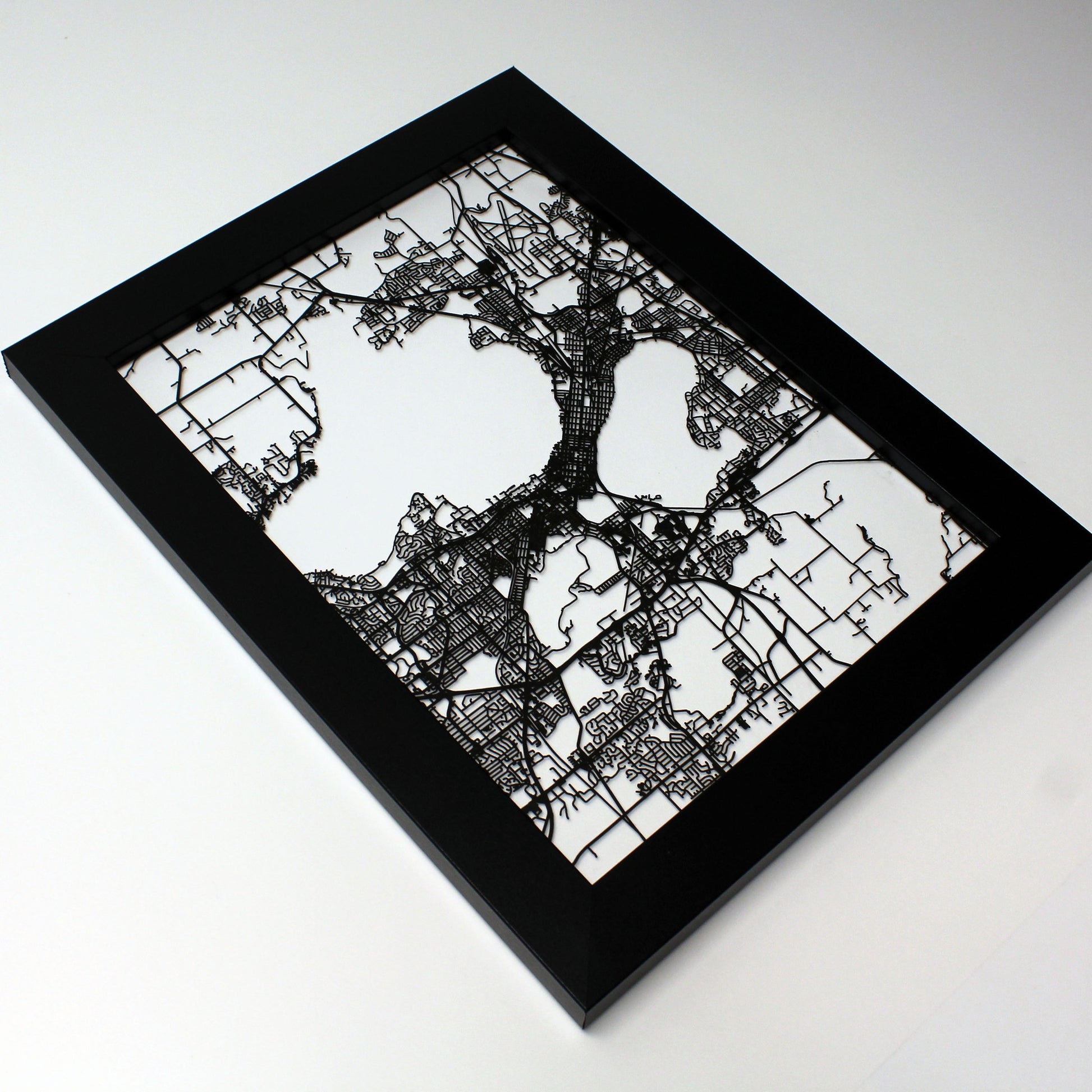 Madison WI laser cut wall map - CarbonLight